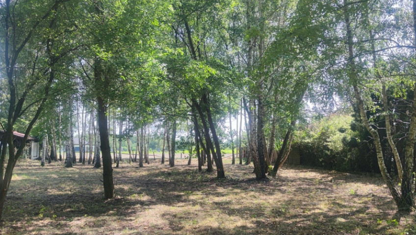 Działka Sprzedaż Borzęcin Duży Spacerowa